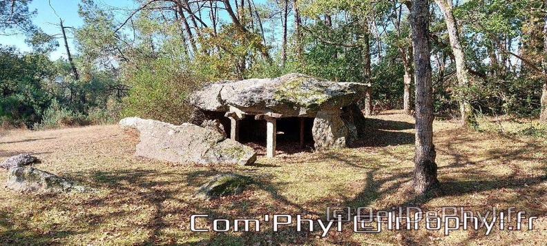 dolmen-des-tablettes-tablettes-de-cournon-1.jpg