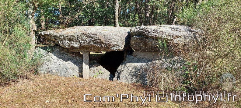 dolmen-des-tablettes-tablettes-de-cournon-3.jpg