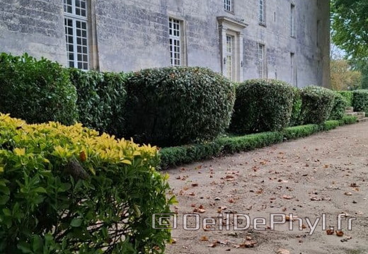 Le château de Jarzé