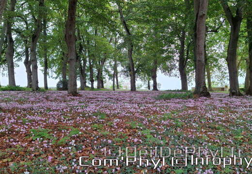 Le château de Jarzé