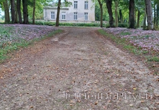 Le château de Jarzé