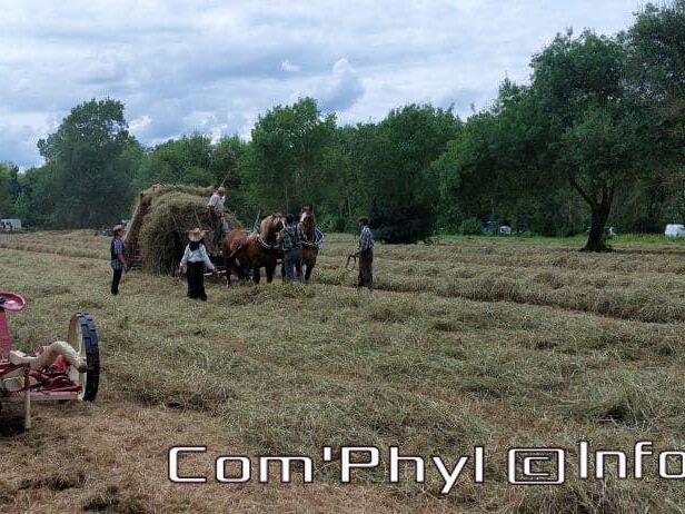 fetedesfoins2022 corze tb