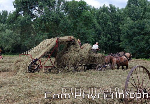 fetedesfoins2022 corze tb 1