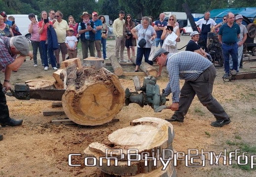 fetedesfoins2022 corze tb 4