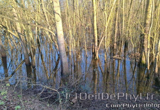 duboisdansleau-comphyl49-14