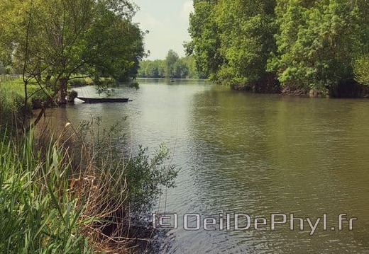 au-bord-de-la-sarthe-tierce-10