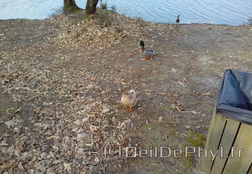 base-de-loisirs-du-lac-de-malague-1