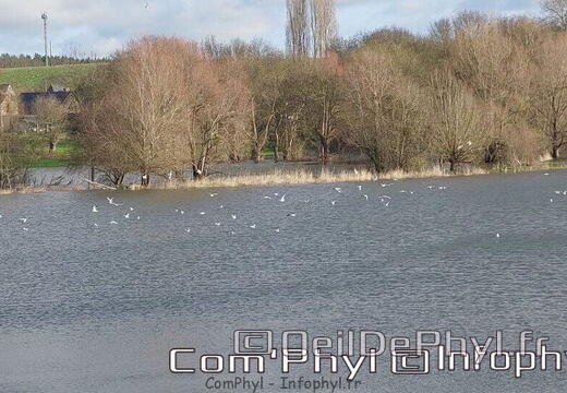 Pdj : 16 janvier 2023 - le Loir