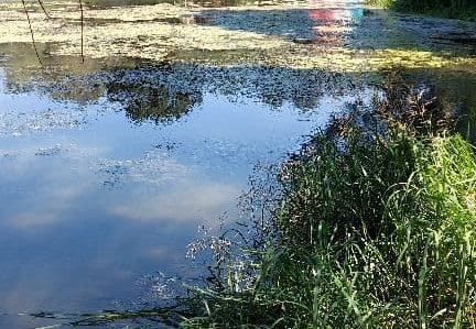 otto-elsa-tomkowiak-5