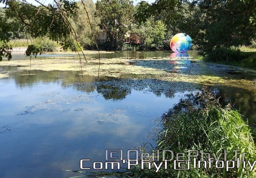 otto-elsa-tomkowiak-6