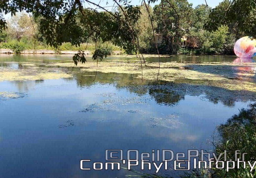 novart-elsa-tomkowiak-otto-02