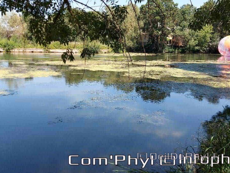 novart-elsa-tomkowiak-otto-02