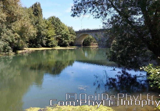 novart-elsa-tomkowiak-otto-12