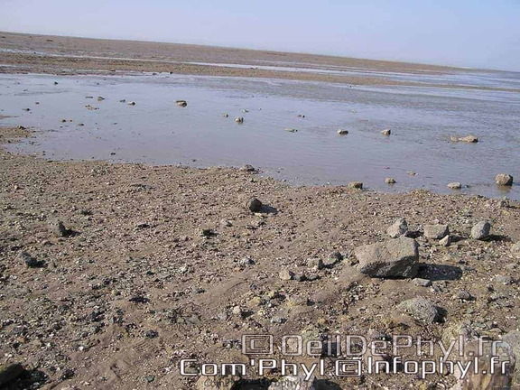 noirmoutier-en-lile-le-gois-29