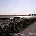 noirmoutier-en-lile-le-gois-30