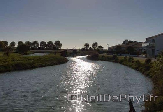noirmoutier-en-l-ile-les-marais-28