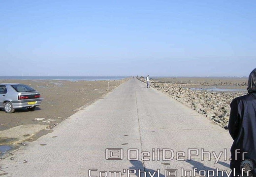 noirmoutier-en-l-ile-le-gois-03