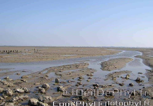 noirmoutier-en-l-ile-le-gois-06