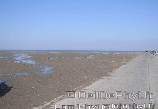 noirmoutier-en-l-ile-le-gois-07