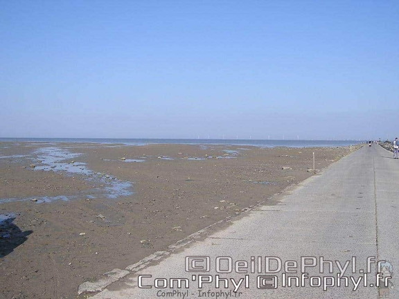 noirmoutier-en-l-ile-le-gois-07