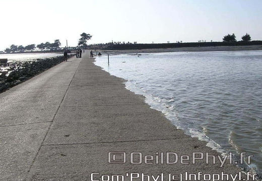 noirmoutier-en-l-ile-le-gois-09