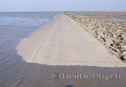 noirmoutier-en-l-ile-le-gois-08