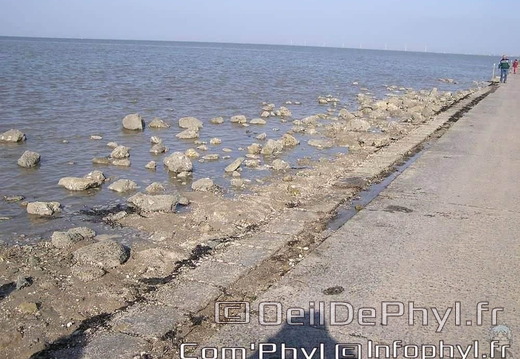 noirmoutier-en-l-ile-le-gois-10