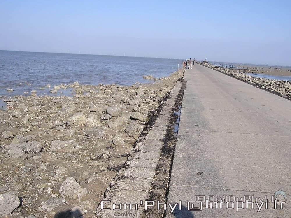 noirmoutier-en-l-ile-le-gois-11