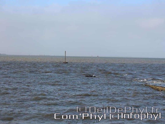 noirmoutier-en-l-ile-le-gois-12