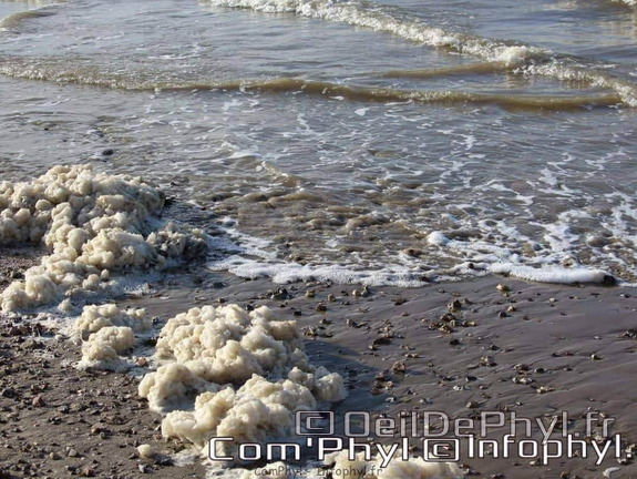 noirmoutier-en-l-ile-le-gois-14