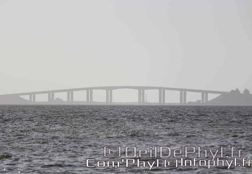 noirmoutier-en-l-ile-le-gois-17