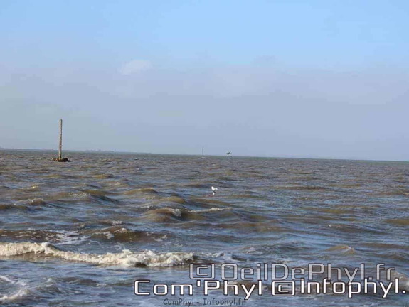 noirmoutier-en-l-ile-le-gois-18