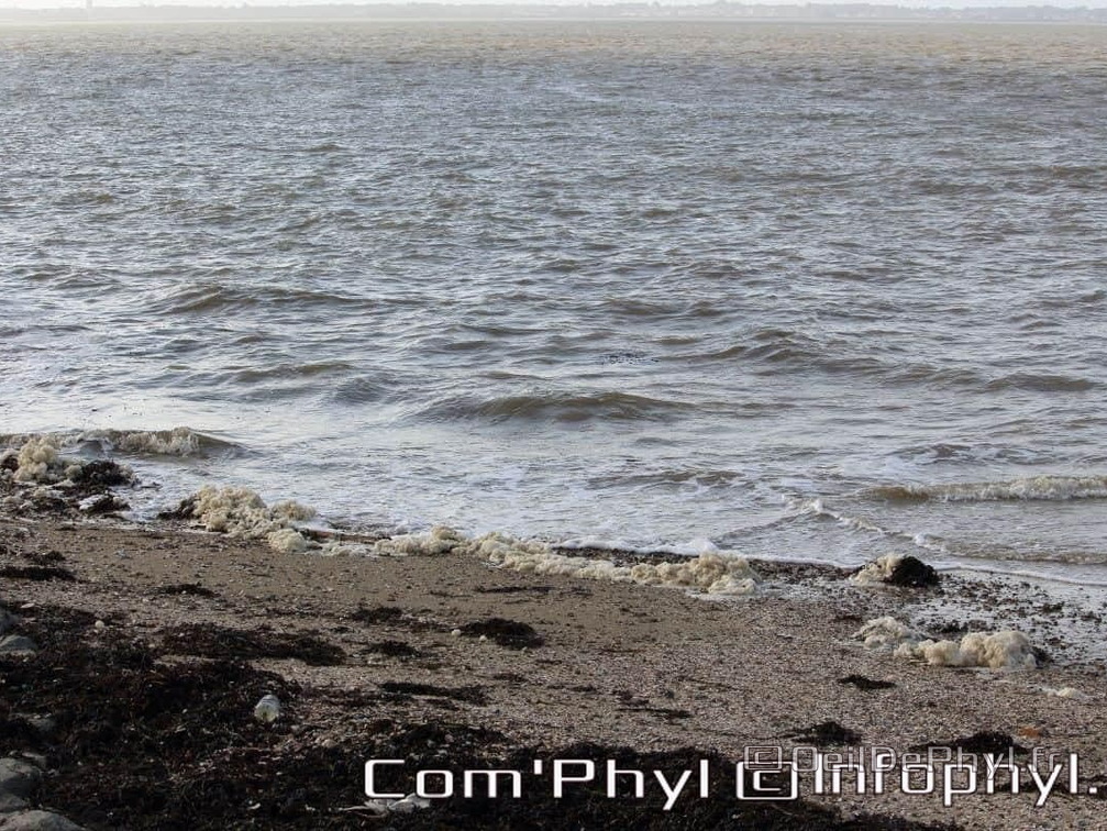 noirmoutier-en-l-ile-le-gois-25