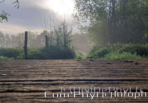 Pdj : 17 mai 2023 - Le pont et la brume matinale