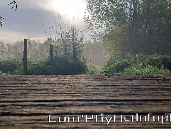 Pdj : 17 mai 2023 - Le pont et la brume matinale