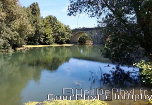Le  loir et le pont