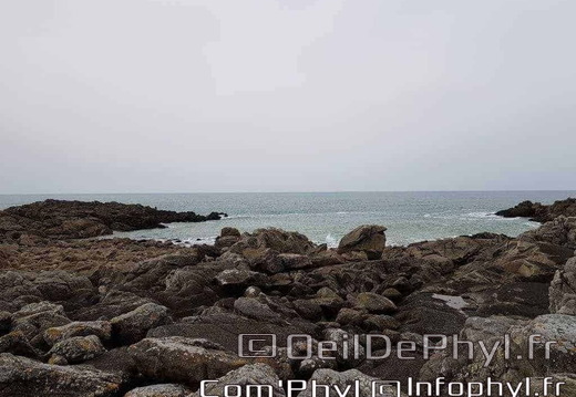 le-croisic-la-cote-sauvage-2