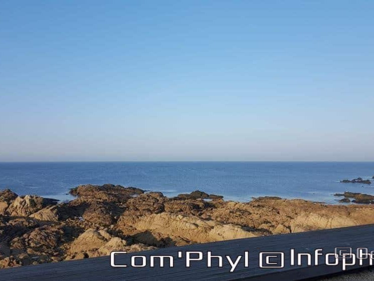 le-croisic-la-cote-1