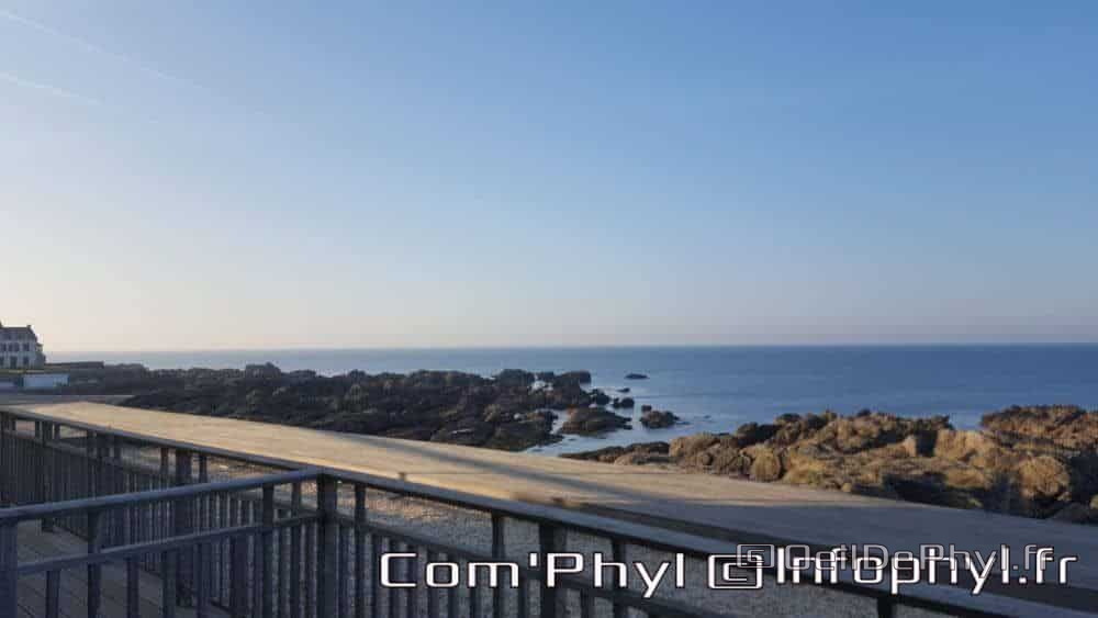 le-croisic-la-cote-4