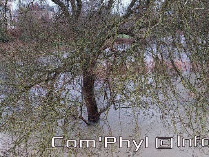 inondation-villeveque-janvier-2022-1