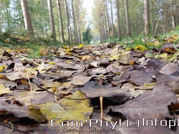 Pdj : 1 novembre 2021