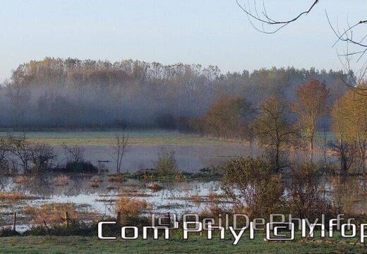 Pdj : 11 novembre 2023