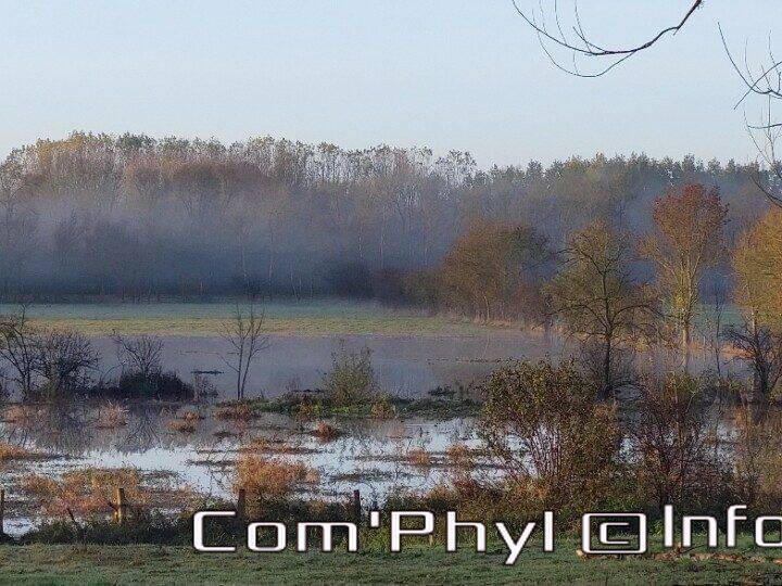 Pdj : 11 novembre 2023