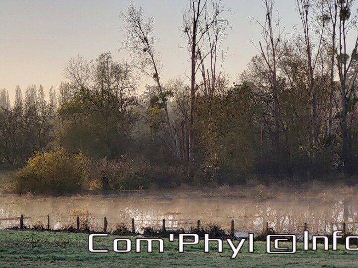 Pdj : 11 novembre 2023