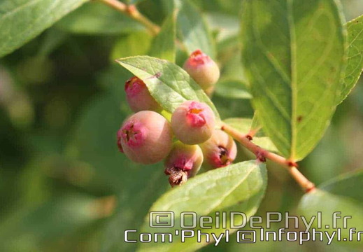 Pdj : 27 mai 2023 - l'été