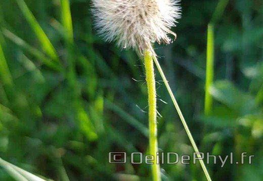 Pdj : 27 mai 2023 - l'été