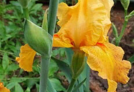 Pdj : 27 mai 2023 - l'été