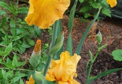 Pdj : 27 mai 2023 - l'été