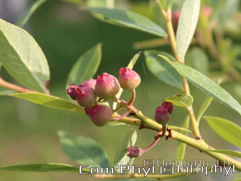 Pdj : 27 mai 2023 - l'été