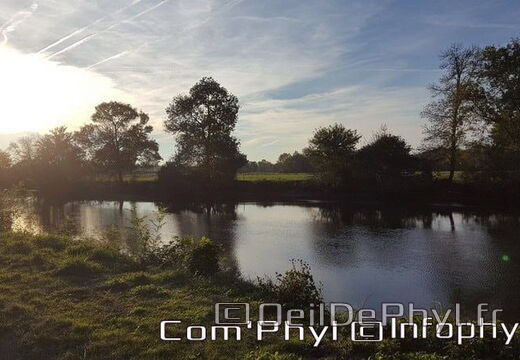 Pdj : 6 novembre 2021 - Corzé